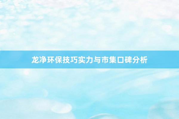 龙净环保技巧实力与市集口碑分析